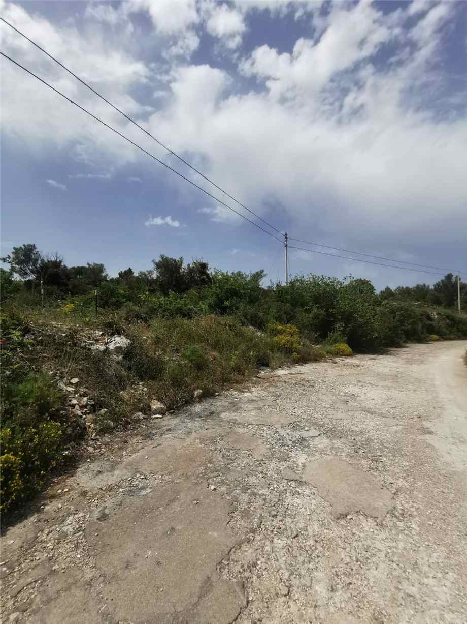 For sale Bare land Noto #28T n.7