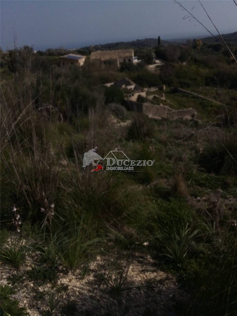 Vente Terrain Avola #37T n.17