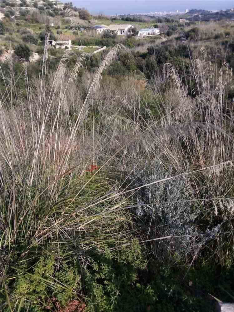 Vente Terrain Avola #37T n.18