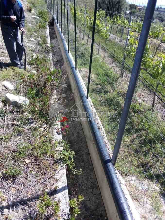 Vente Terrain Avola #37T n.20
