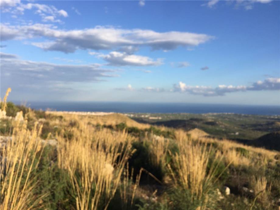 Vente Terrain Avola #38T n.18