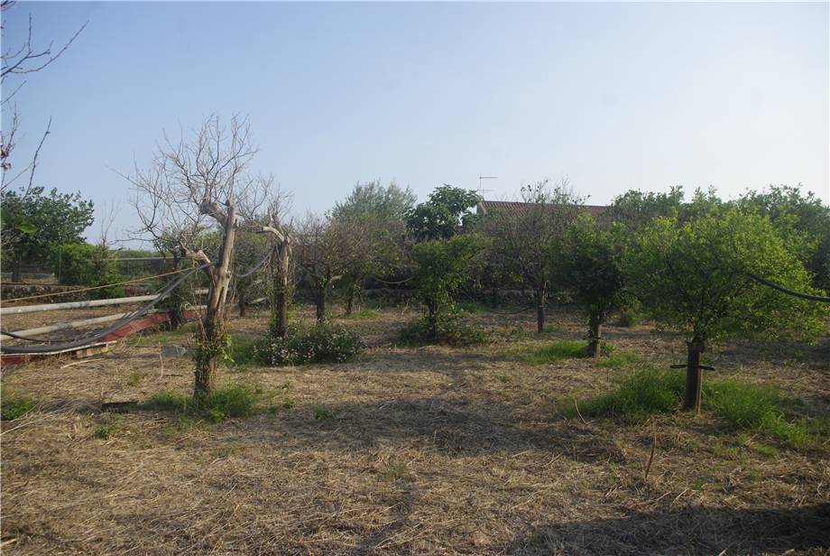 Vendita Villa indipendente Noto LIDO DI NOTO #54VM n.19