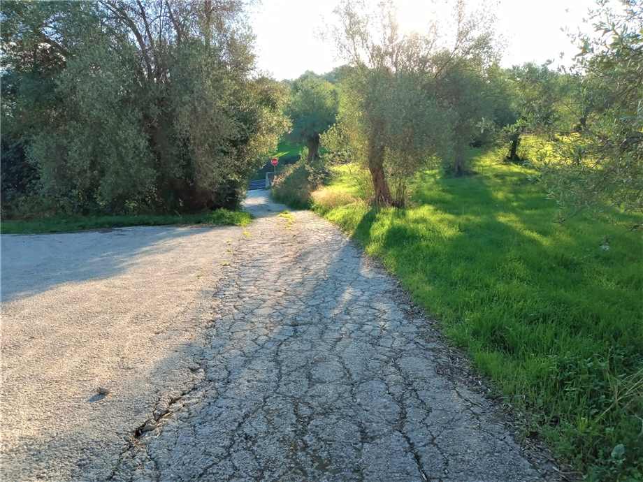 Vendita Azienda agricola Noto  #4OL n.16