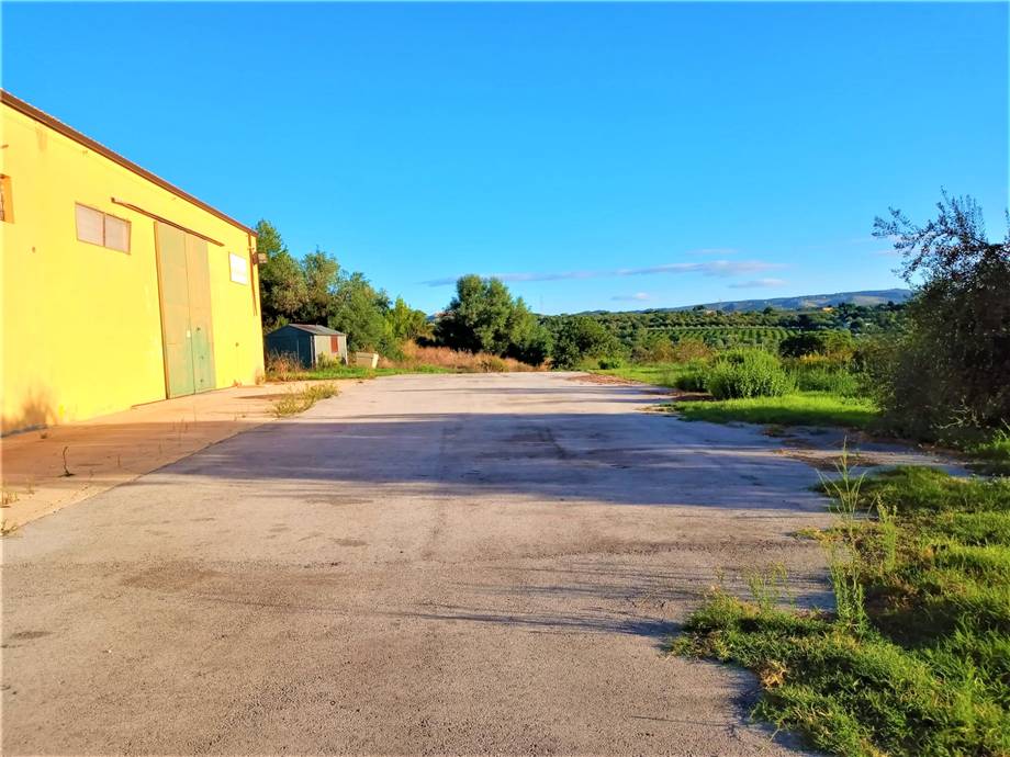 For sale Agricultural company Noto #4OL n.18