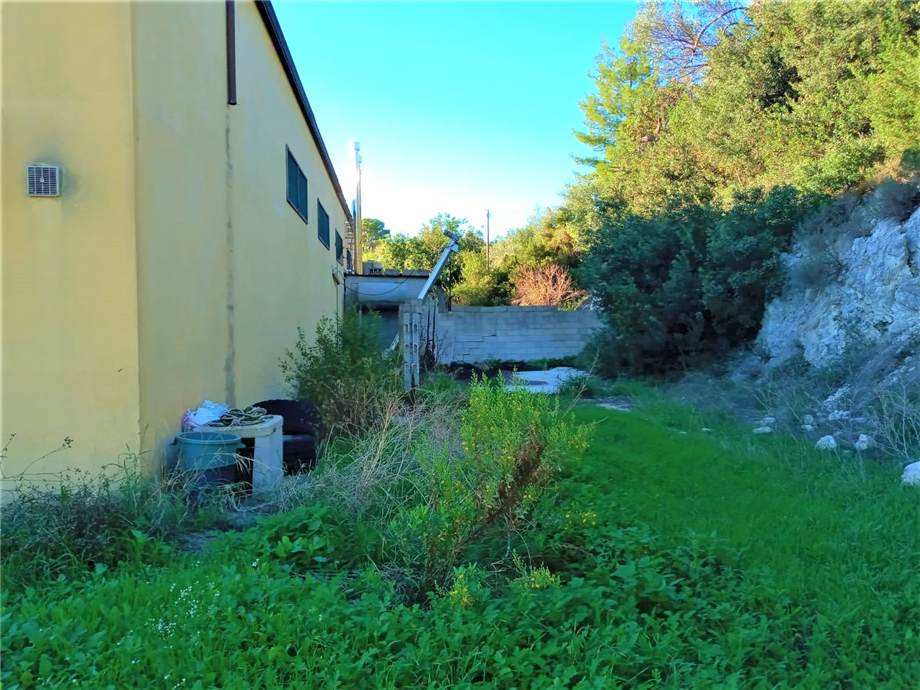 Vendita Azienda agricola Noto  #4OL n.19