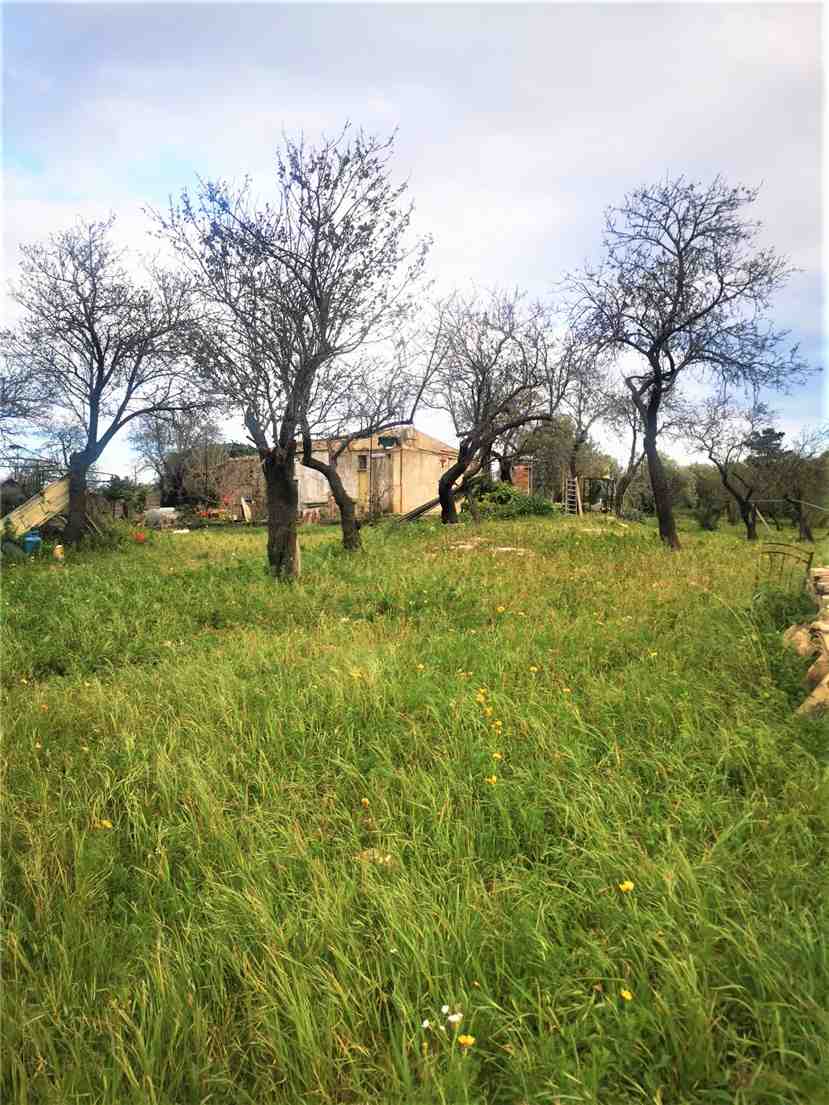 Venta Masseria Noto  #10T n.17