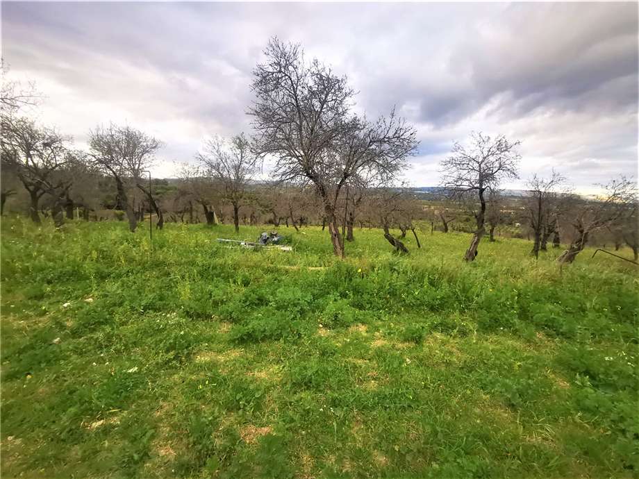 Venta Masseria Noto  #10T n.19