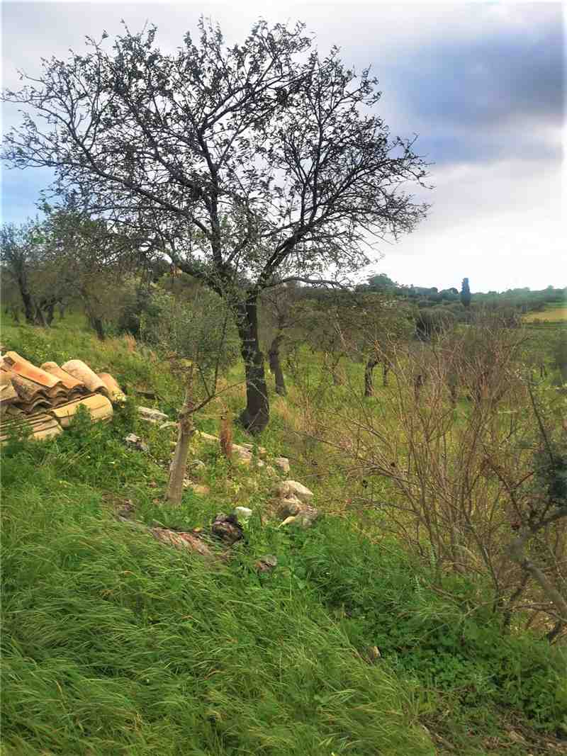 Venta Masseria Noto  #10T n.20