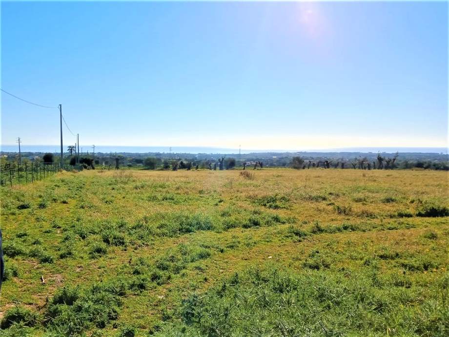 Venta Terreno Avola #6T n.10
