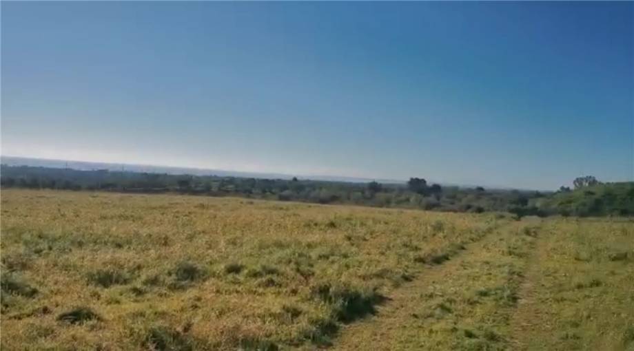 Venta Terreno Avola #6T n.11