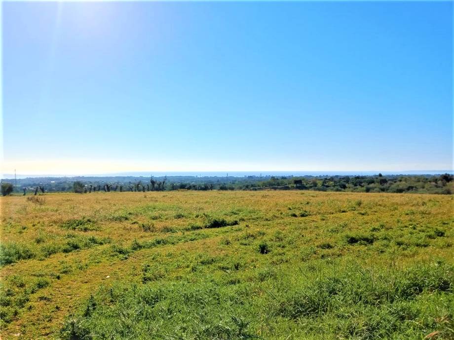 Venta Terreno Avola #6T n.12