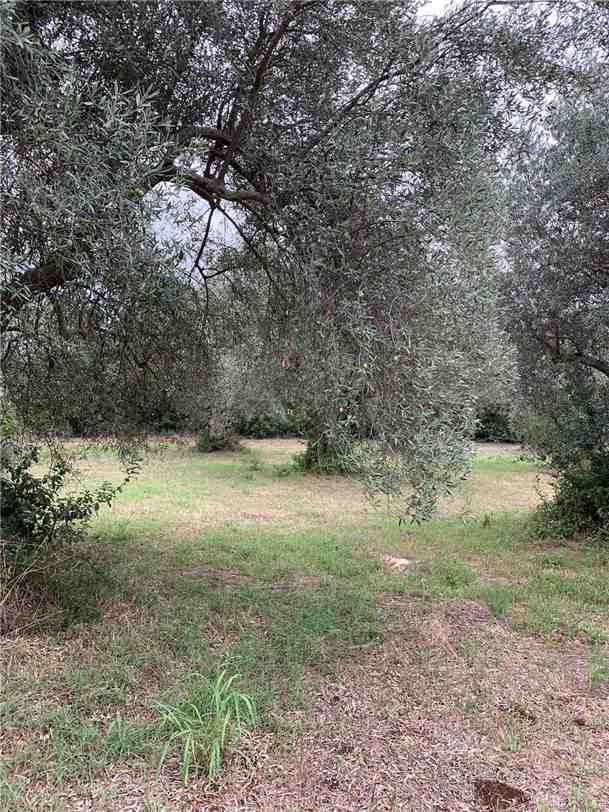 For sale Land Noto  #72T n.7