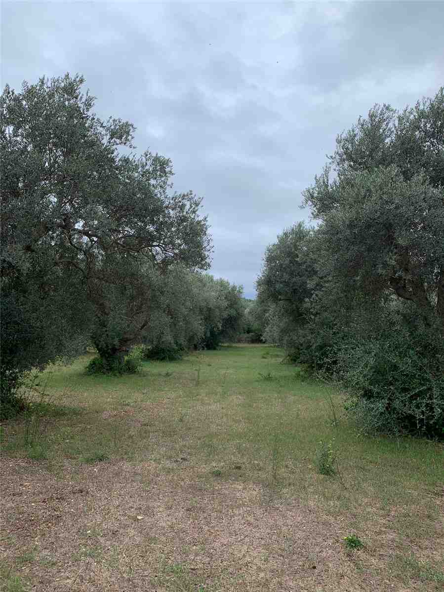 For sale Land Noto  #72T n.8