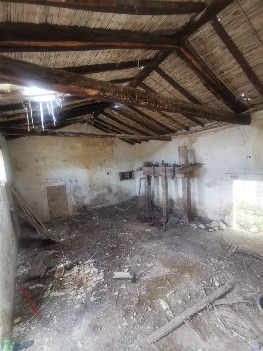 Venta Ruina Siracusa  #50T n.19