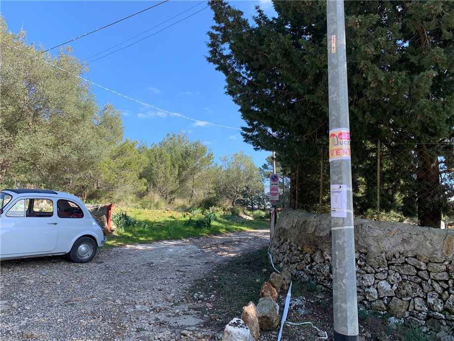 Vente Ruine Avola #14T n.12