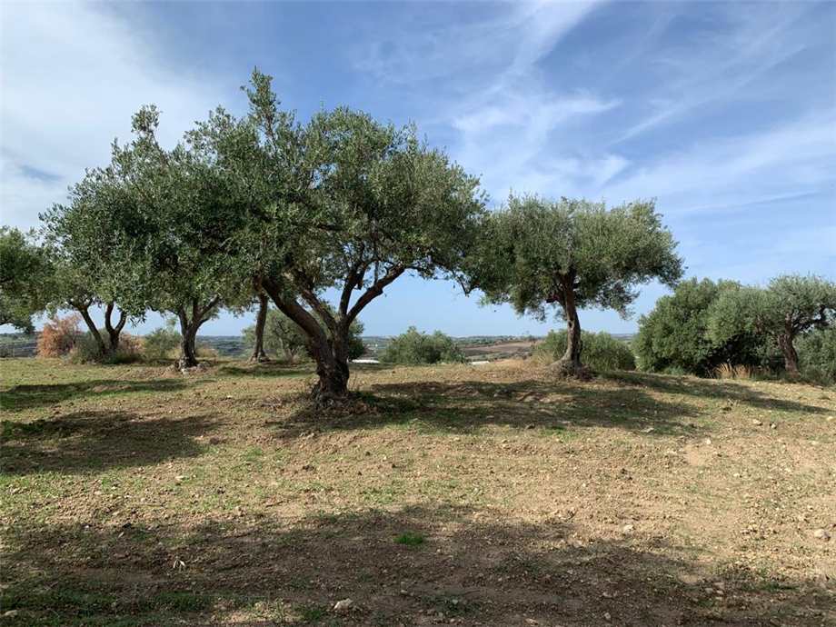 Venta Terreno Noto #27T n.17