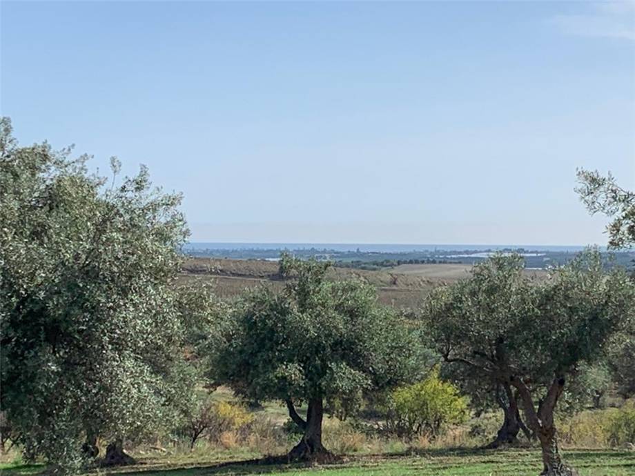 Venta Terreno Noto #27T n.18