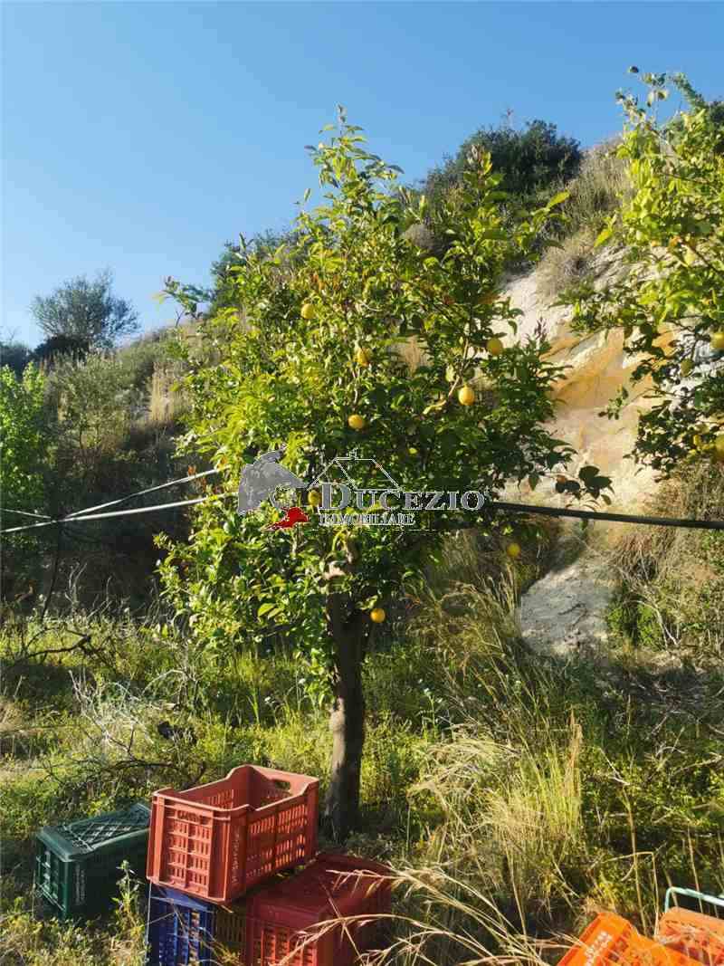 Venta Terreno Noto #21T n.16