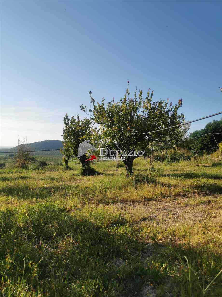 Venta Terreno Noto #21T n.17