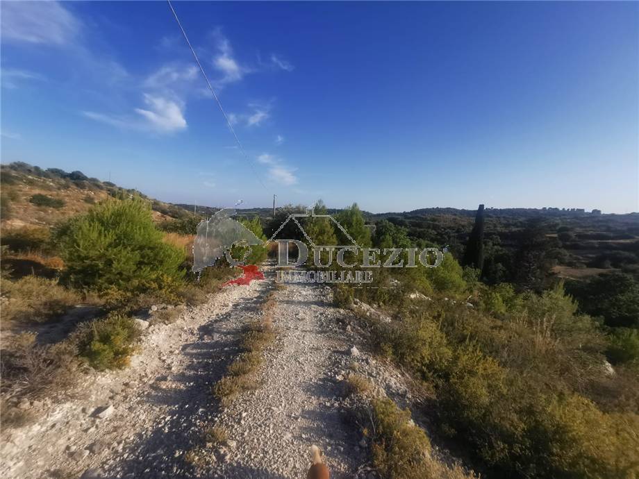 For sale Bare land Noto  #7TC n.18