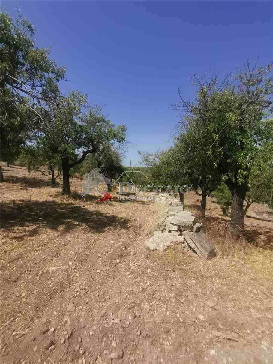Venta Ruina Noto  #17T n.14