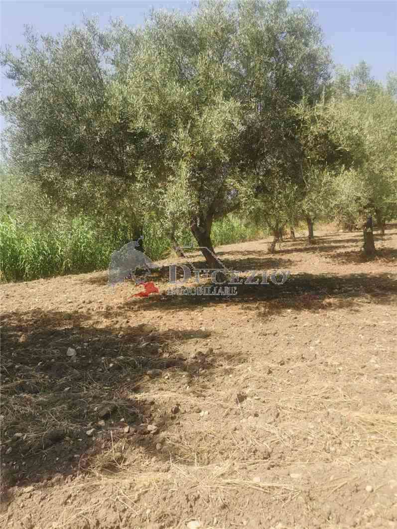 Venta Ruina Noto  #17T n.16