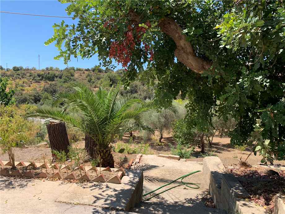 For sale Bare land Noto  #22T n.18