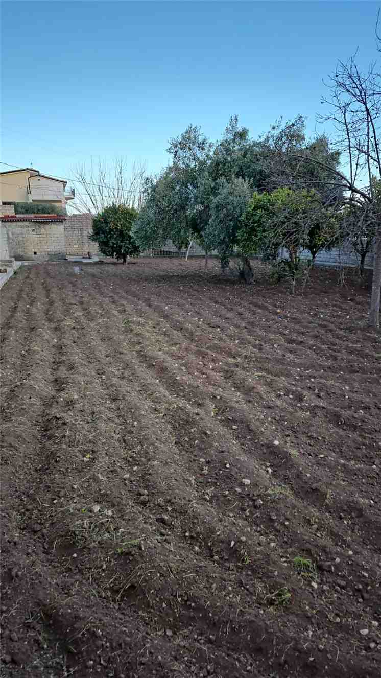 Vendita Villa indipendente Noto SAN CORRADO DI FUORI #31VNC n.17
