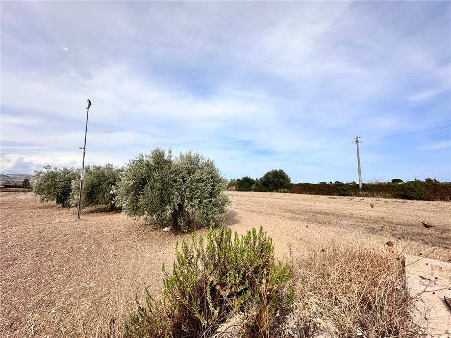 For sale Ruin Noto  #25RT n.17