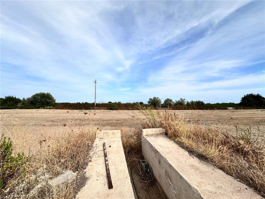 For sale Ruin Noto  #25RT n.20