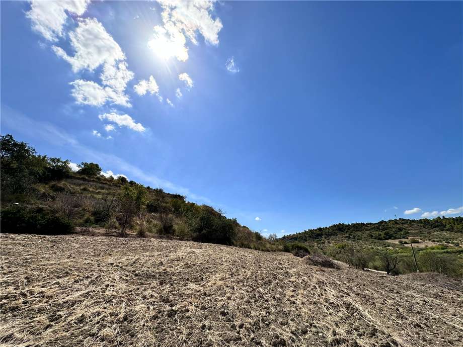 Vente Terrain Noto  #24T n.16