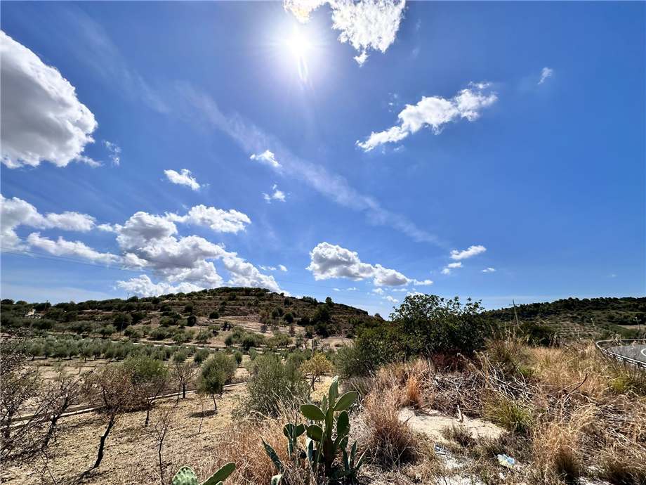 Vente Terrain Noto  #24T n.17