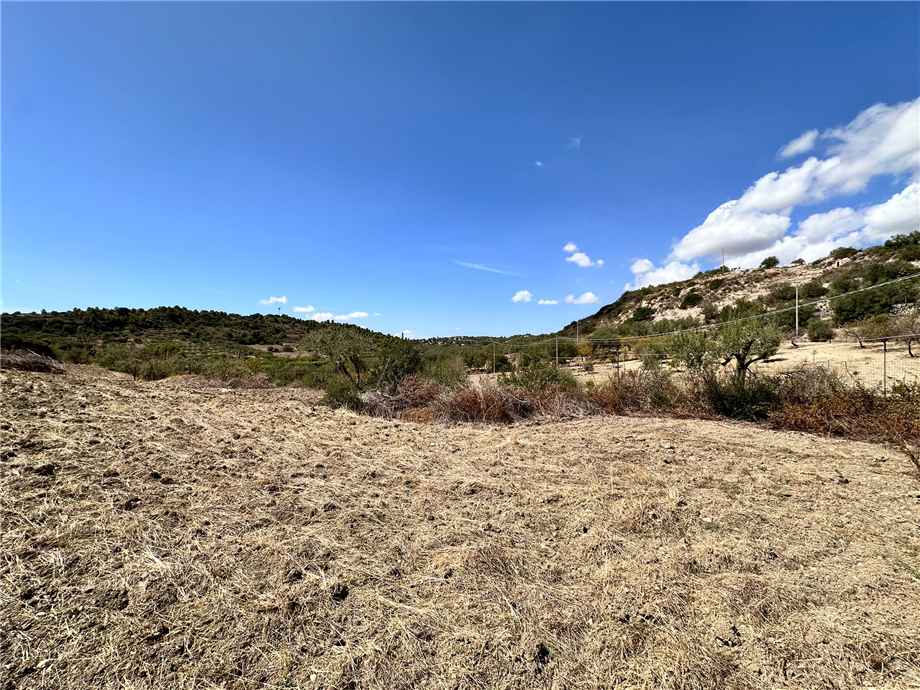 Venta Terreno Noto #24T n.18