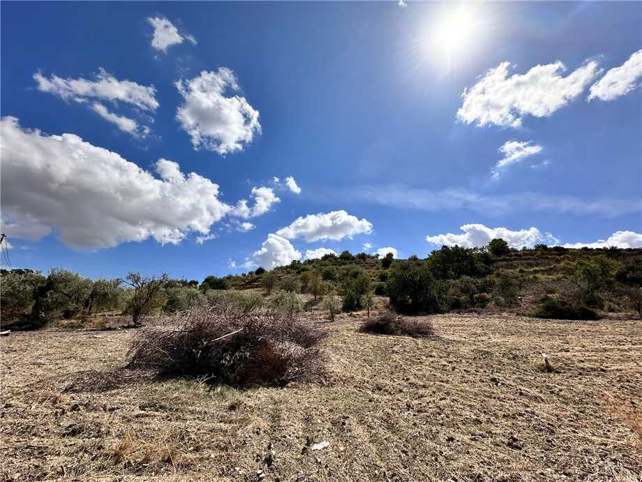 Vente Terrain Noto  #24T n.20