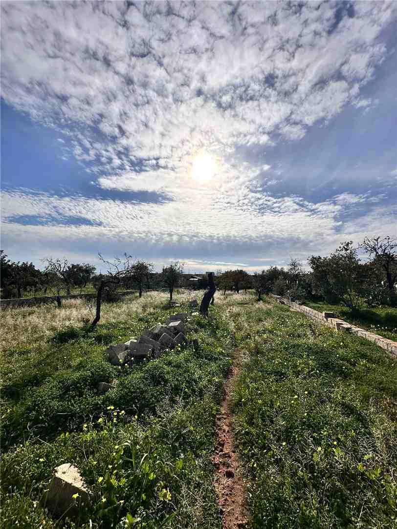 For sale Detached house Noto  #V000025 n.17