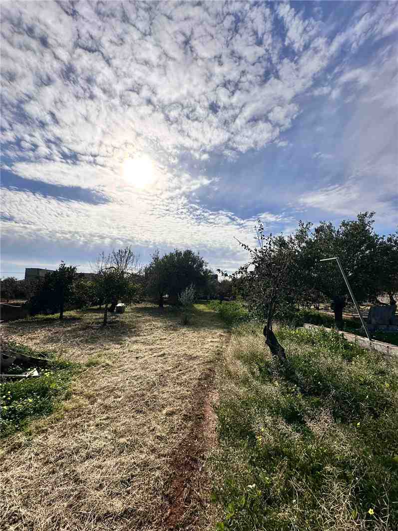 For sale Detached house Noto  #V000025 n.18
