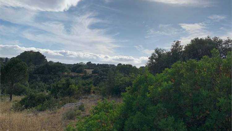 Venta Terreno Noto #V000036 n.16