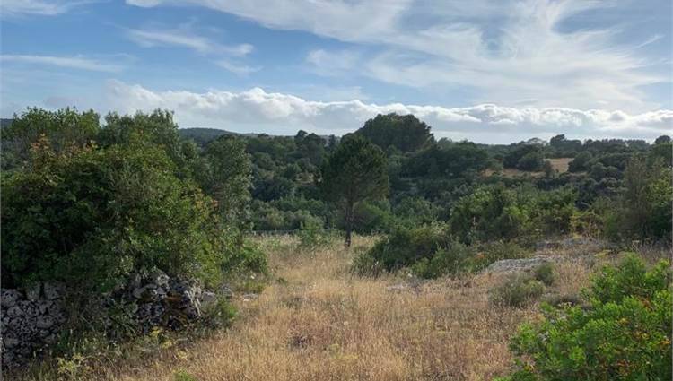 Venta Terreno Noto #V000036 n.17