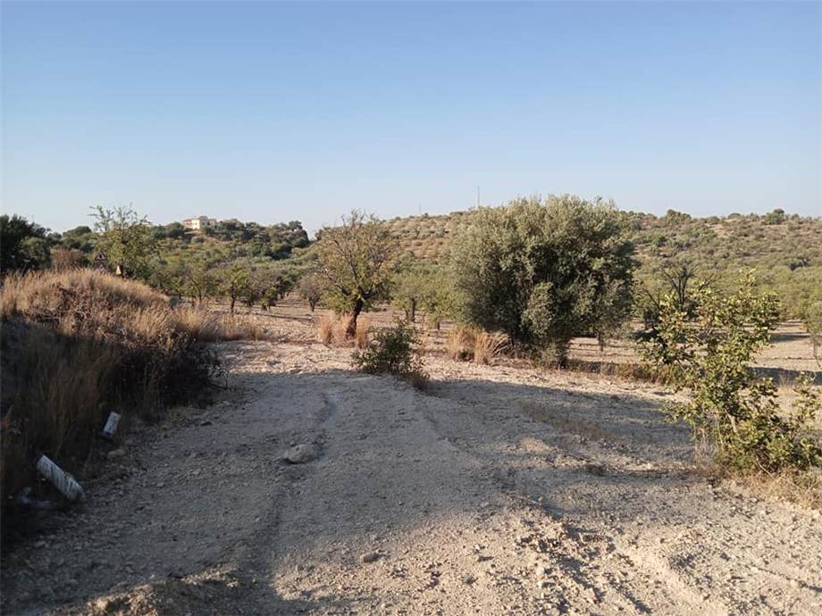 Venta Terreno Noto  #27 T n.6