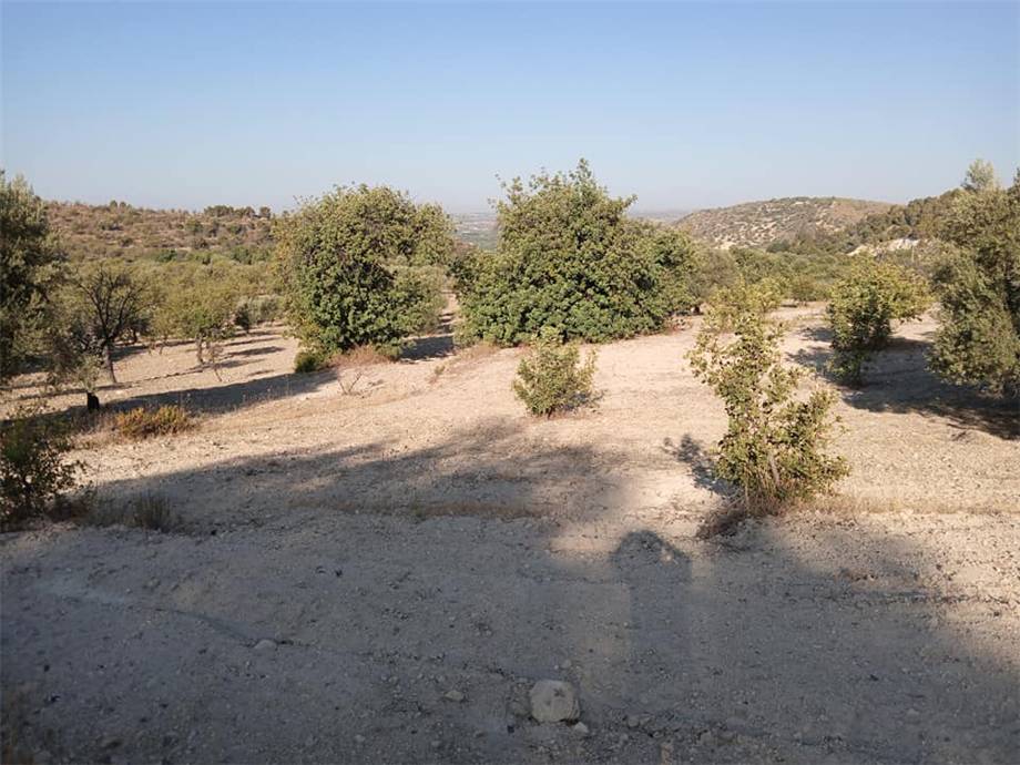Venta Terreno Noto  #27 T n.7