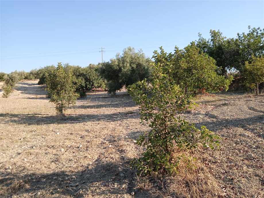 Venta Terreno Noto  #27 T n.8