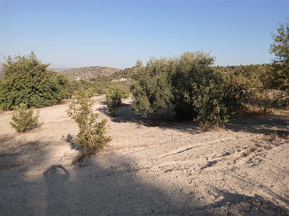 Venta Terreno Noto #195T n.9