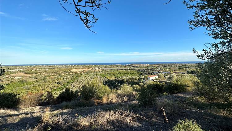Venta Terreno Noto #V000087 n.17