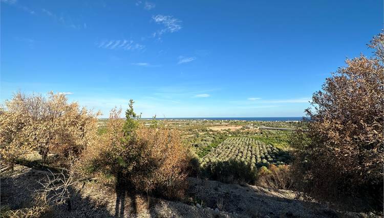 Vendita Terreno Noto  #V000087 n.20