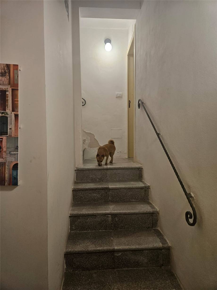 Vendita Casa indipendente Noto  #21C n.13