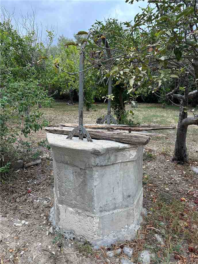 Vendita Rudere Avola  #177T n.8