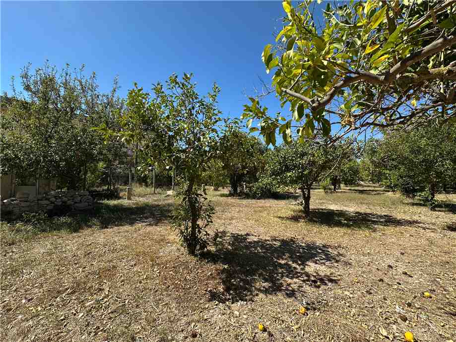 Vendita Rudere Avola  #177T n.11