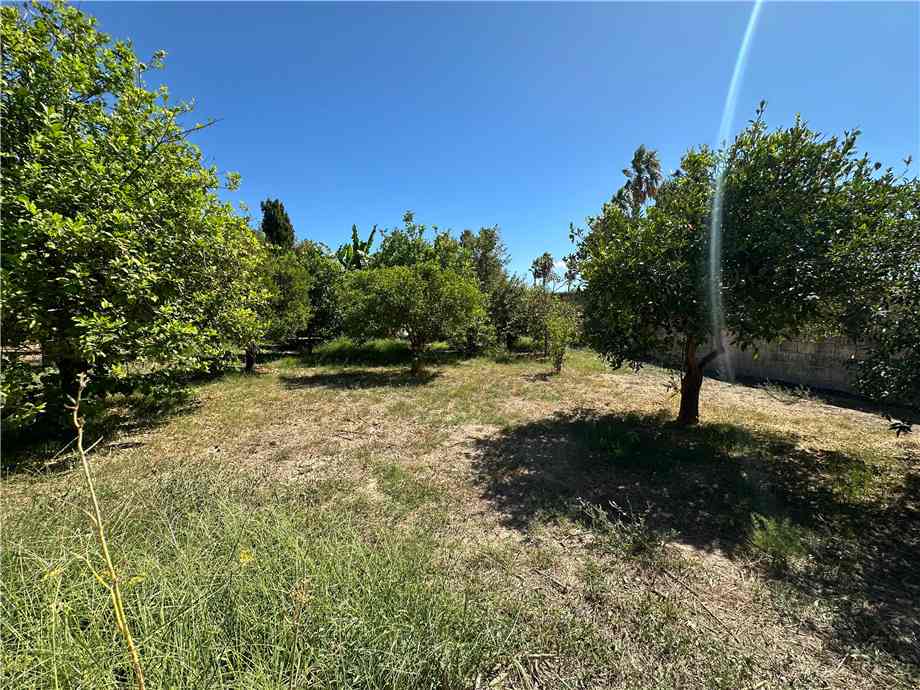 Vendita Rudere Avola  #177T n.12