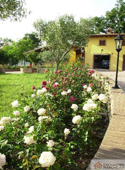 Venta Villa unifamiliar Matelica #PRI3 n.9