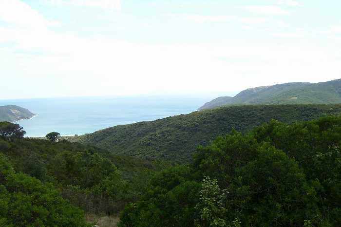 Venta Casa de campo Portoferraio loc. Colle Reciso #152 n.7